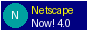 Best viewed in Netscape