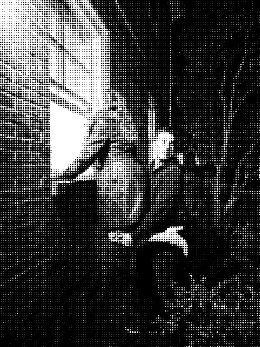 Halftone shock photo: Marcie in a green leather coat peers through a window while Ben holds her up and glances back nervously